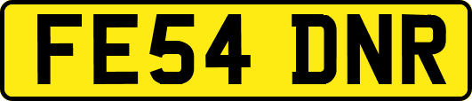 FE54DNR