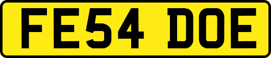 FE54DOE
