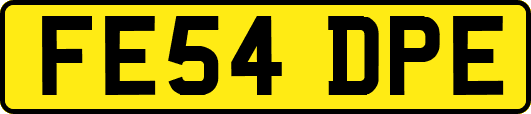 FE54DPE