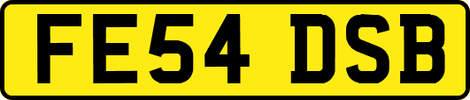 FE54DSB