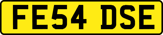 FE54DSE