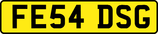FE54DSG