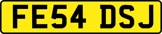 FE54DSJ