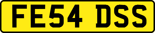 FE54DSS