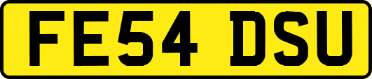 FE54DSU