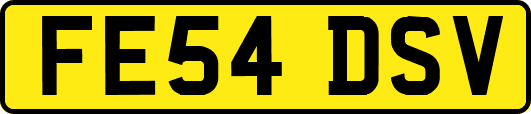 FE54DSV