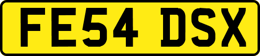 FE54DSX