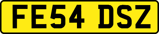 FE54DSZ