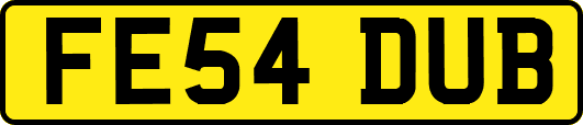 FE54DUB