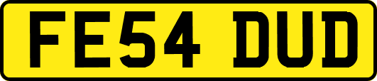 FE54DUD