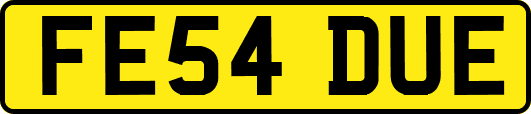FE54DUE
