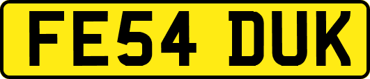 FE54DUK