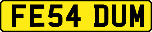 FE54DUM