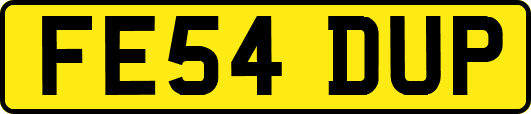 FE54DUP