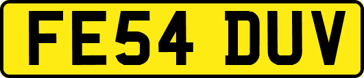 FE54DUV