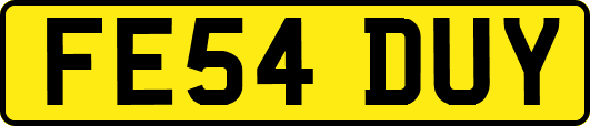 FE54DUY