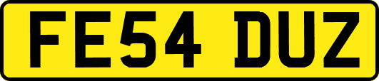 FE54DUZ