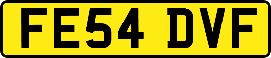 FE54DVF