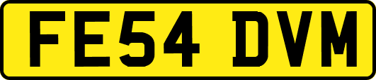FE54DVM