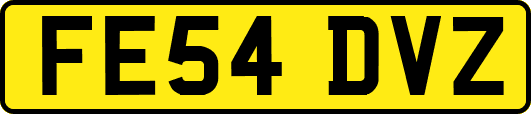 FE54DVZ