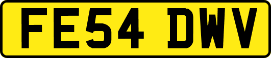 FE54DWV