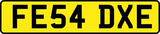 FE54DXE