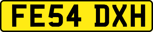 FE54DXH