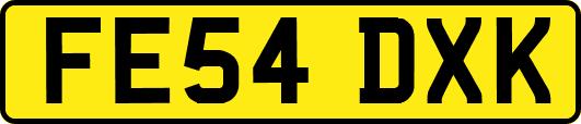 FE54DXK