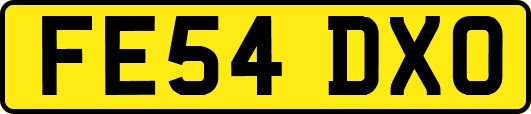 FE54DXO