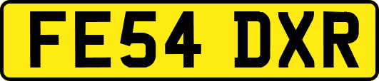 FE54DXR