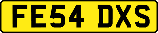 FE54DXS