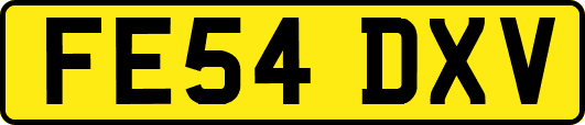 FE54DXV