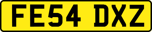FE54DXZ