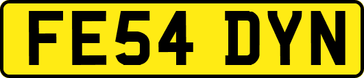 FE54DYN