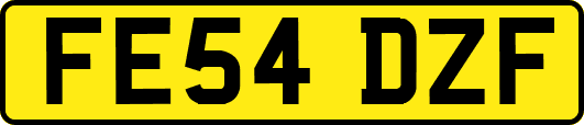 FE54DZF