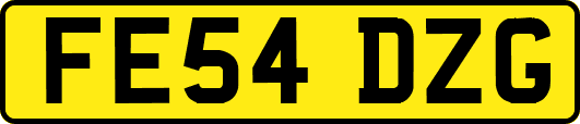 FE54DZG