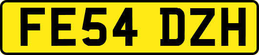 FE54DZH