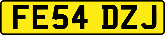 FE54DZJ