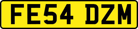 FE54DZM