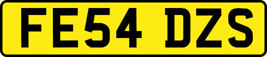 FE54DZS