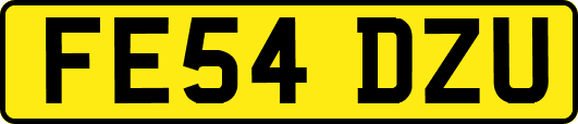 FE54DZU