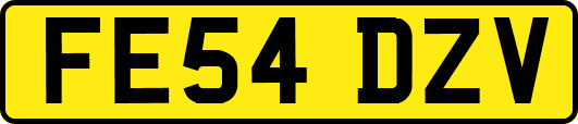 FE54DZV