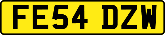 FE54DZW
