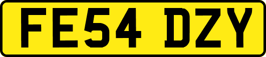 FE54DZY