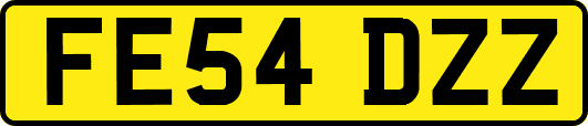 FE54DZZ