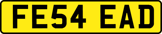 FE54EAD