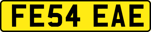 FE54EAE