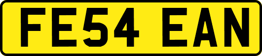 FE54EAN