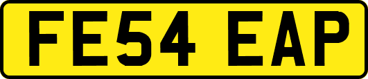 FE54EAP