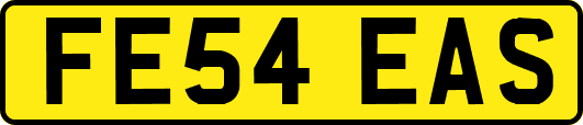 FE54EAS